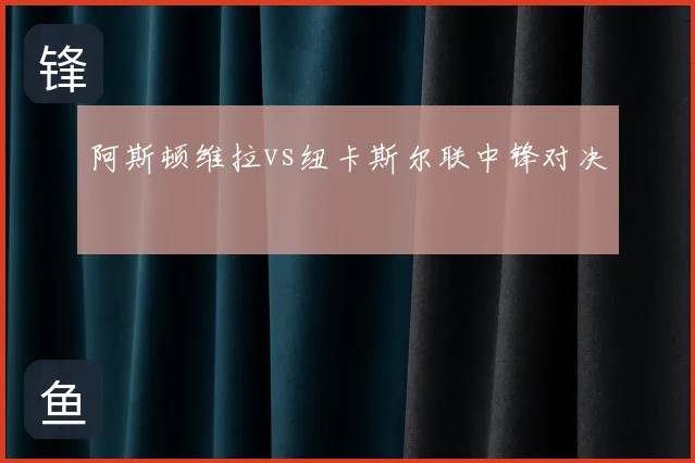阿斯顿维拉vs纽卡斯尔联中锋对决