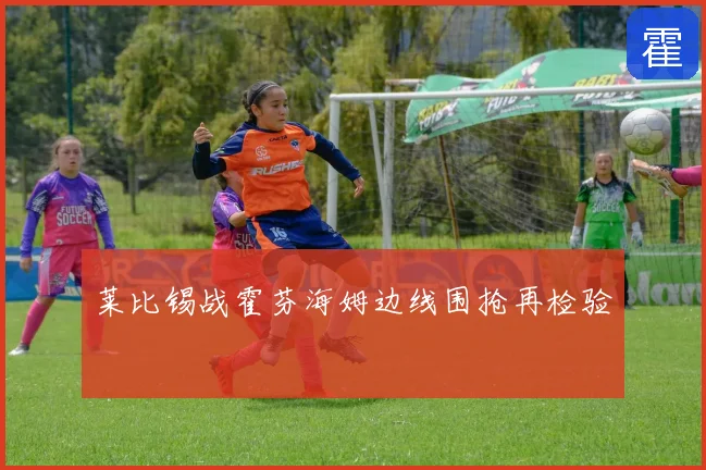 莱比锡战霍芬海姆边线围抢再检验